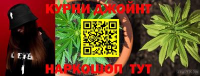 крисы Ливны