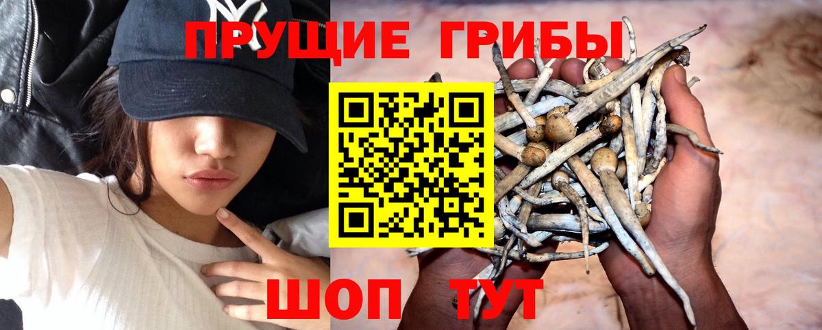 Галлюциногенные грибы ЛСД Старая Купавна